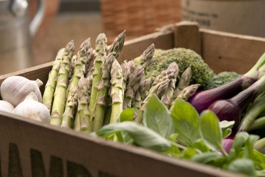Portneuf Valley Farmers Market
